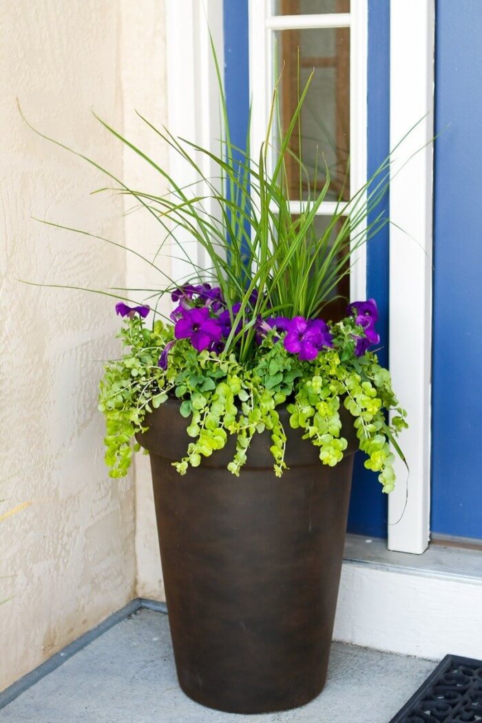 29 Best Front Door Flower Pots Ideas and Designs for 2018 (700 x 1050 Pixel)